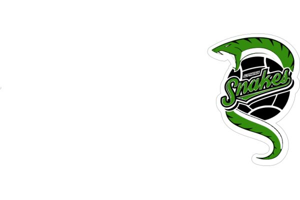 Stylized Snake Logo for a Sports Team