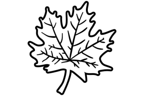 Simplistic Line Drawing of a Maple Leaf