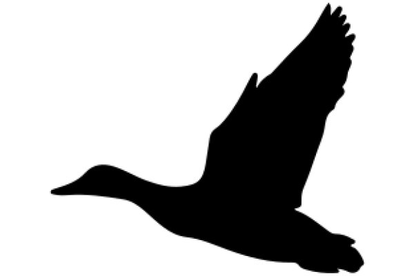 Silhouette of a Duck in Flight