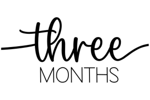 Three Months: A Journey of Transition and Growth