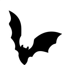 Silhouette of a Bat in Flight