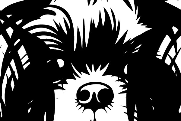 Stylized Portrait of a Shaggy Dog with a Bow on Its Head