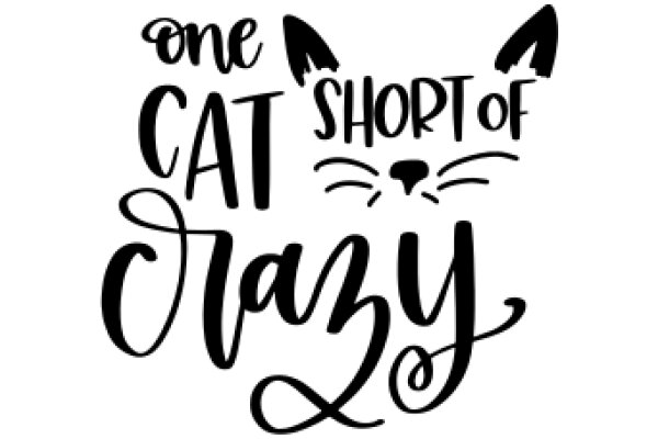 One Cat's Short Story of Crazy