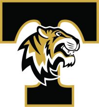 Stylized Tiger Logo with Gold and Black Colors