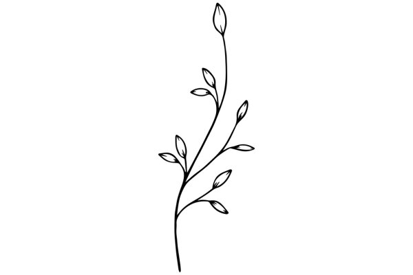 Simplistic Line Drawing of a Flowering Plant