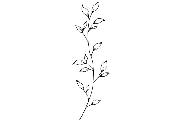 Elegant Line Drawing of a Plant