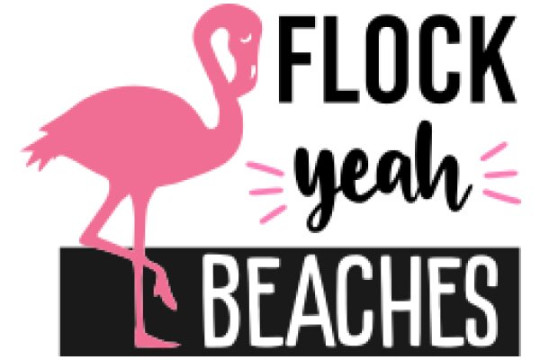 Flamingo Beach: A Playful Promotion for a Fun and Relaxing Destination