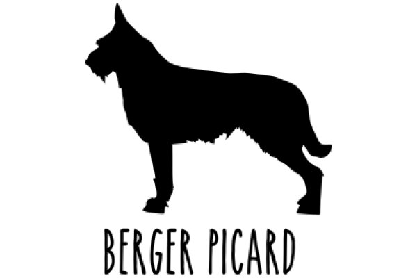 A Silhouette of a Dog with the Name 'BERGER PICARD' Below It