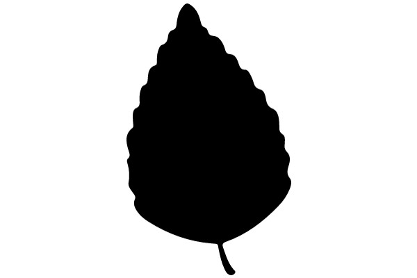 A Silhouette of a Conical Object