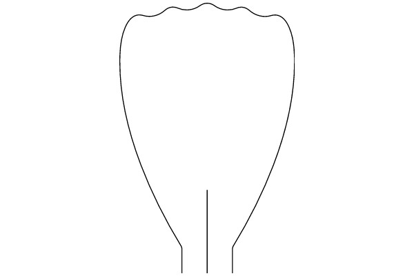 Simplified Line Drawing of a Vase