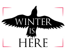 Winter Is Here: A Silhouette of a Bird and the Season's Greeting