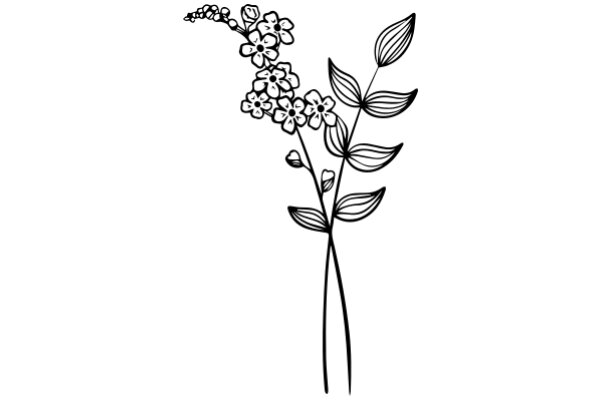 Floral Illustration: A Delicate Artwork