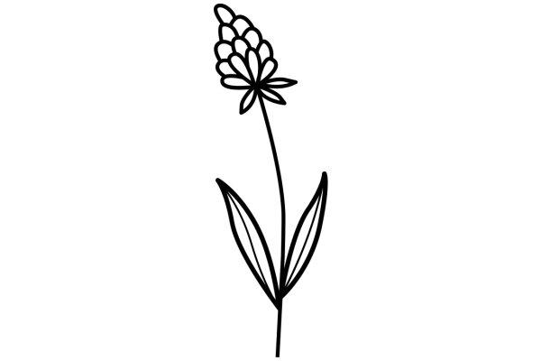 Simplistic Line Drawing of a Flower