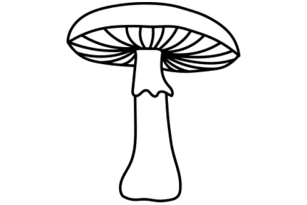 Simplistic Line Drawing of a Mushroom