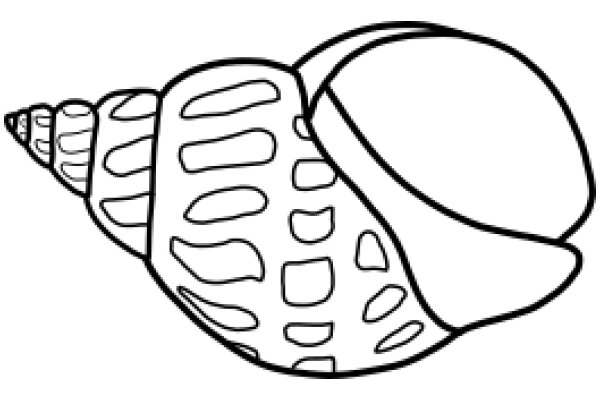 Simplistic Line Drawing of a Snail