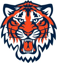 Vivid Tiger Logo: A Symbol of Strength and Power