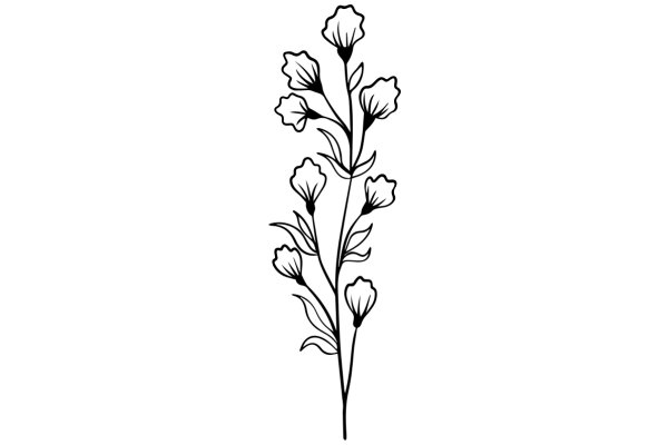 Elegant Line Art of a Flowering Plant with Six Flowers and Leaves