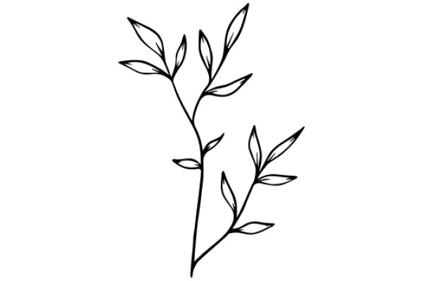 Simplistic Line Art of a Plant with Leaves and Stems