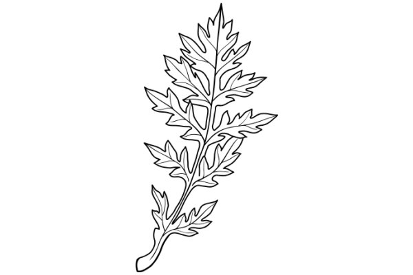 Stylized Line Drawing of a Plant with Leaves