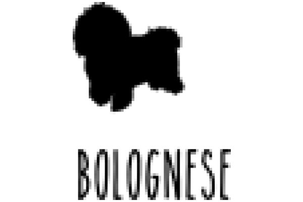 A Silhouette of a Dog with the Word 'Bolognese' Below It