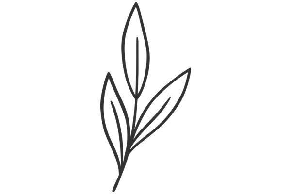 Simplistic Line Drawing of a Plant