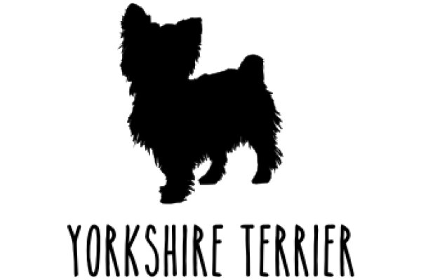 Yorkshire Terrier: A Silhouette of Silence