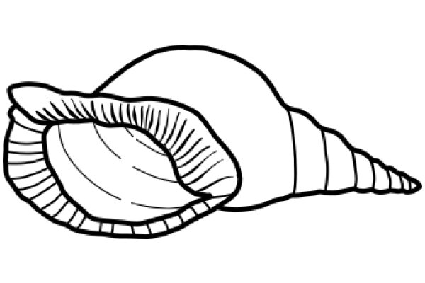 A Simple Line Drawing of a Snail Shell