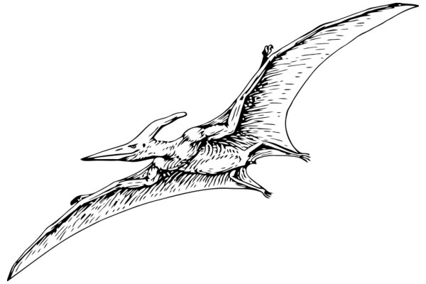 A Whimsical Illustration of a Flying Bat