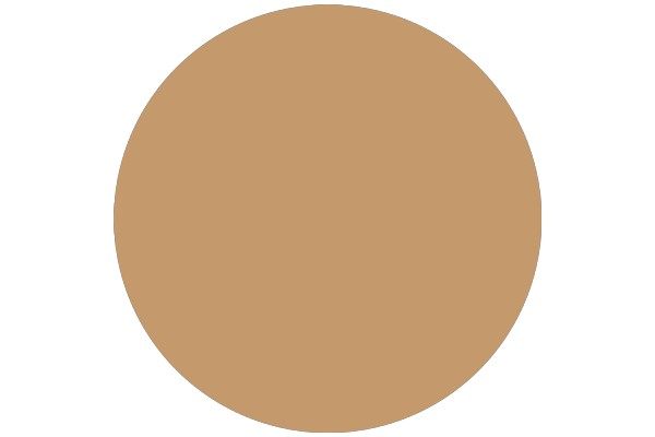 A Solid Circle in a Soft Brown Color