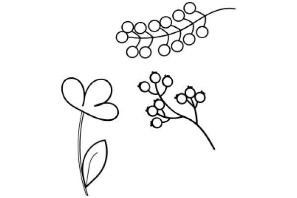 A Collection of Simple Line Drawings: Flower, Leaves, and Fruit