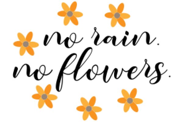 A Simple, Flowery Affirmation: No Rain, No Flowers.