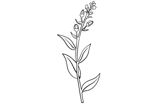 Simplistic Line Drawing of a Flowering Plant