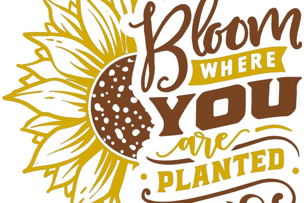 Flowery Affirmation: Bloom Where You Are Planted