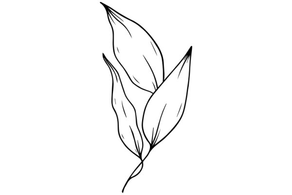 Elegant Line Drawing of a Plant with Curved Leaves