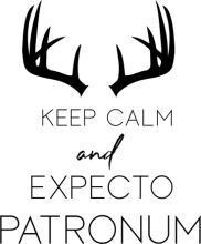 Keep Calm and Expect Patronum