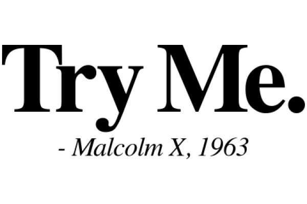 Try Me: A Tribute to Malcolm X's Influential Quote