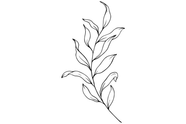 Stylized Line Drawing of a Plant with Leaves and Stems