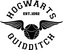 Hogwarts Quidditch: Est. 1992