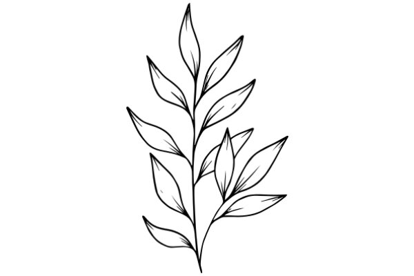 Stylized Line Drawing of a Plant with Leaves and Flowers