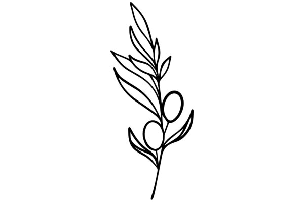 Stylized Line Drawing of a Plant with Fruits