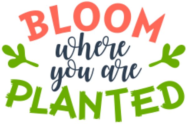 Bloom Where You Are Planted