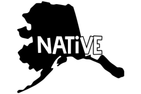 Native: A Graphic Exploration of Indigenous Identity