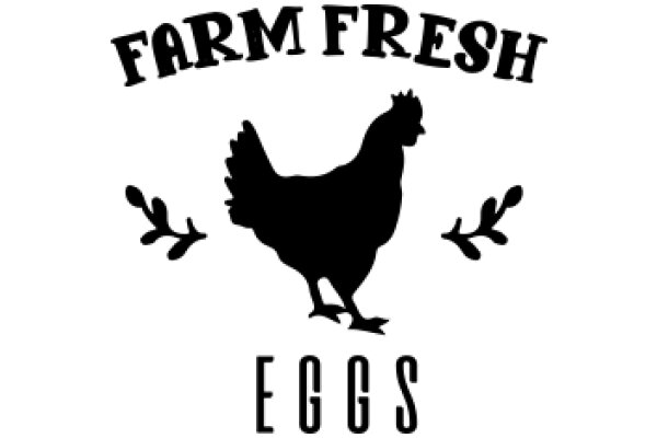 Farm Fresh Eggs: The Symbol of Quality and Taste