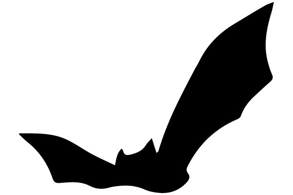 Silhouette of a Bat in Flight