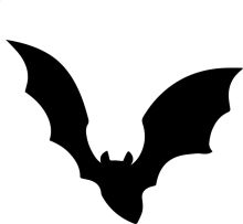 Silhouette of a Bat: A Symbol of the Night