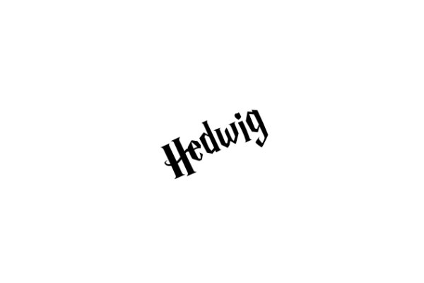 A Simple Logo for a Brand Named 'Hedwig'