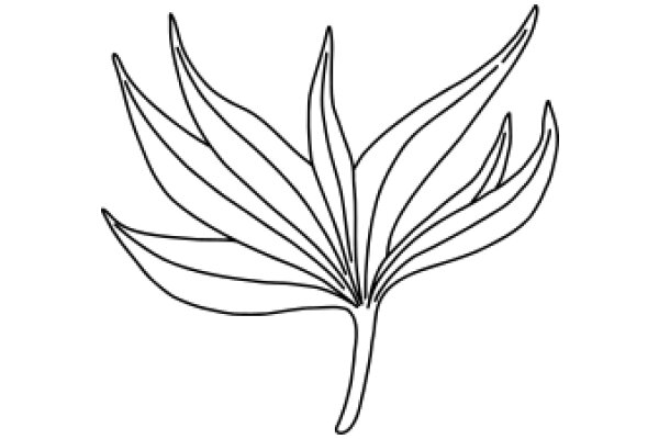 Stylized Line Drawing of a Plant