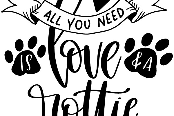 All You Need Is Love & Notie