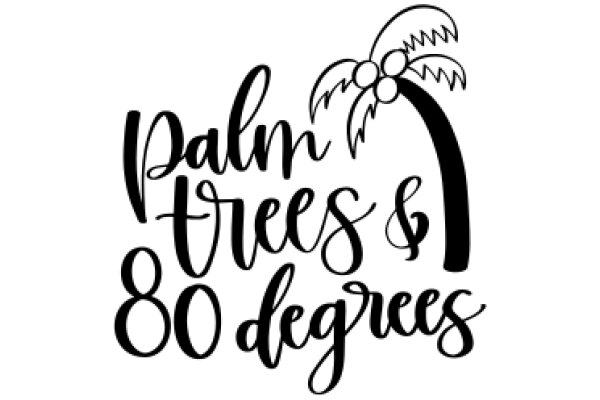 Palm Trees & 80 Degrees: A Tropical Paradise