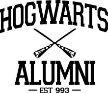 Hogwarts Alumni: A Gathering of Wizards and Witches